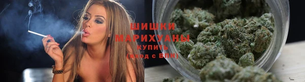 бошки Белокуриха
