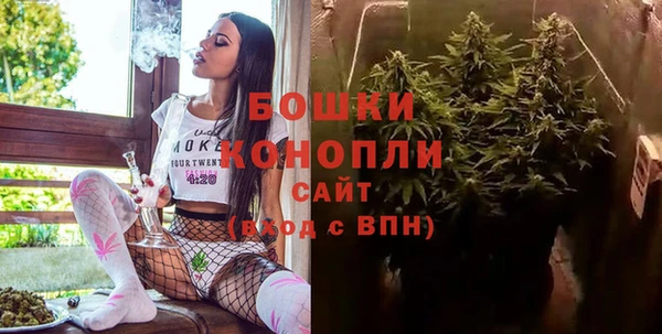 бошки Белокуриха